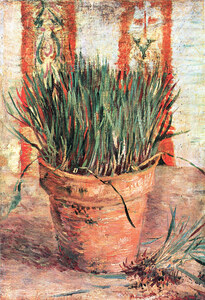 Flowerpot with Chives